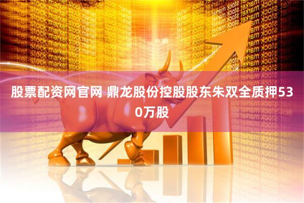 股票配资网官网 鼎龙股份控股股东朱双全质押530万股